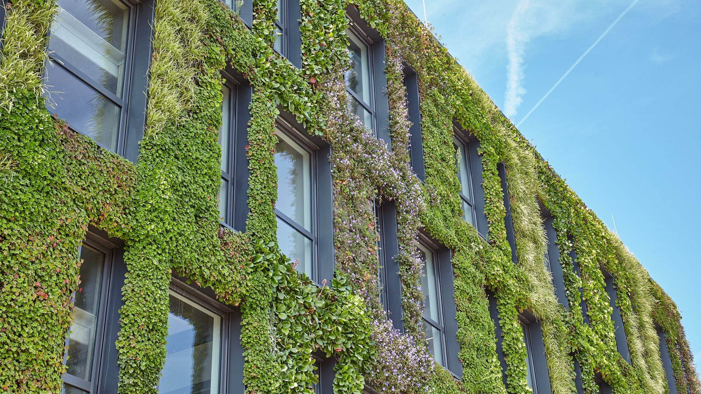 sempergreen sustainable renovation green wall