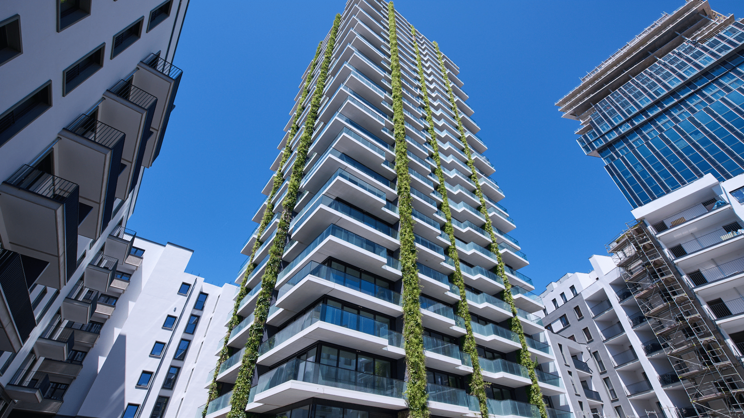 Sempergreen walls