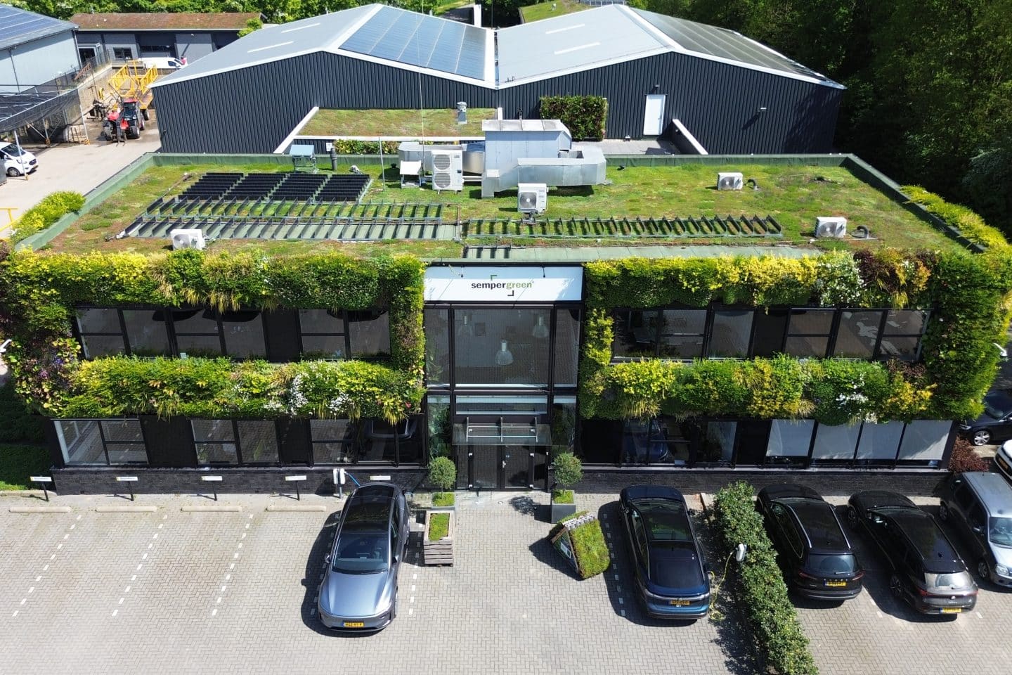 Sempergreen HQ