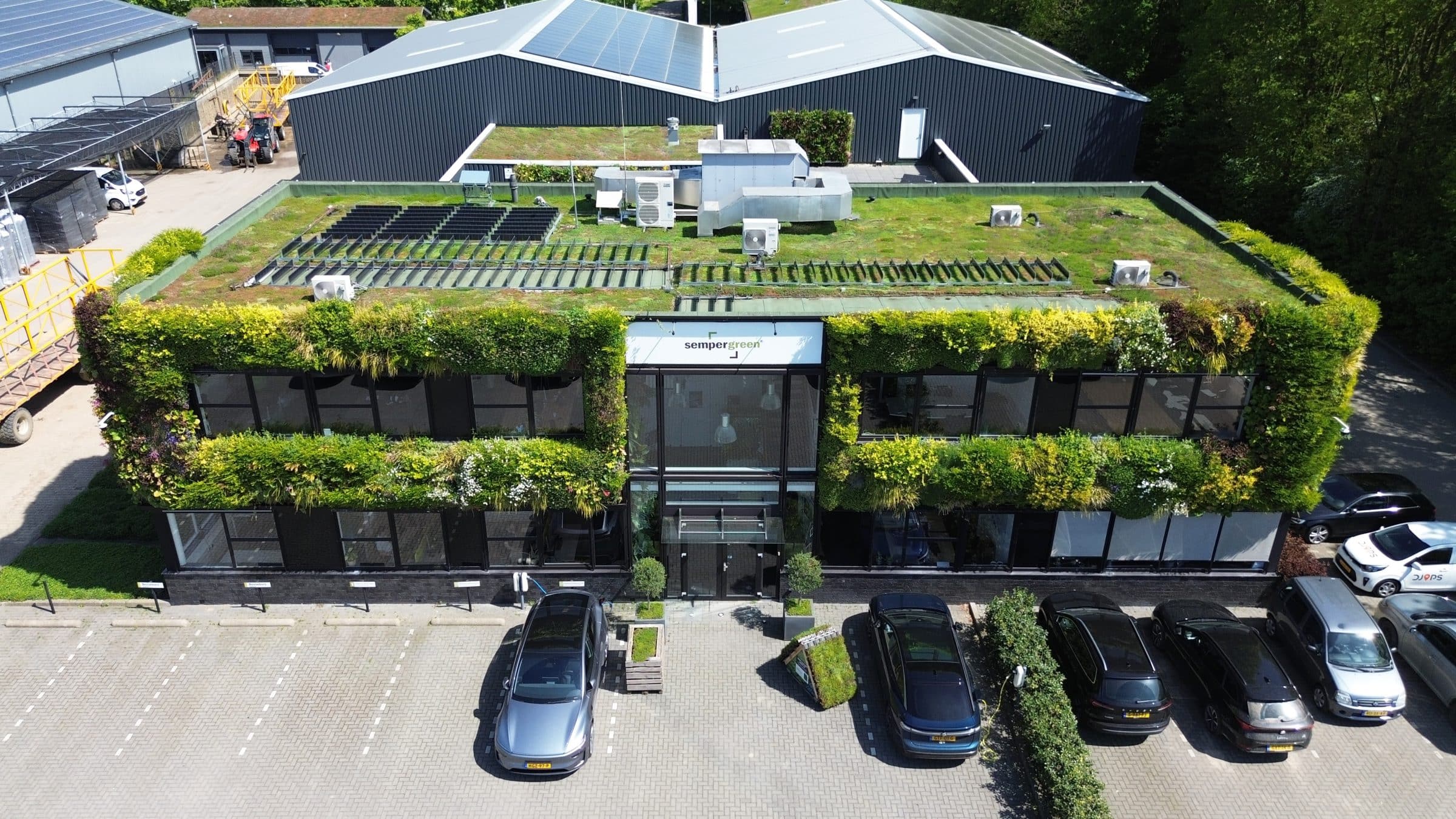 Sempergreen HQ