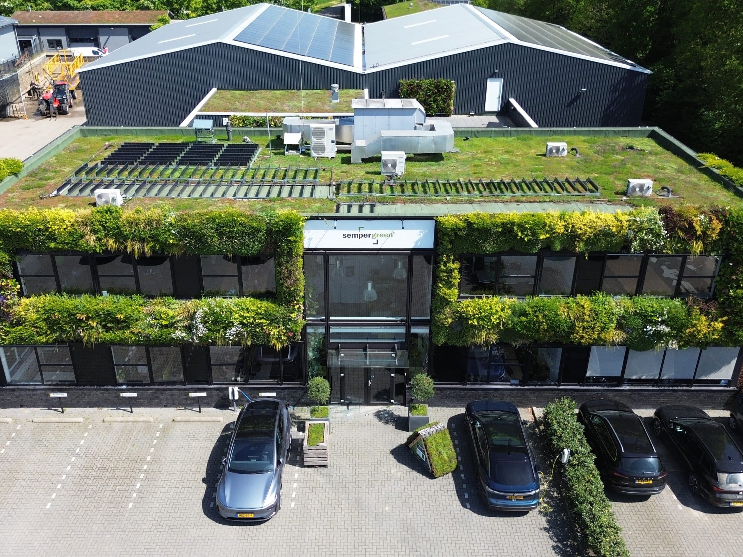 Sempergreen HQ