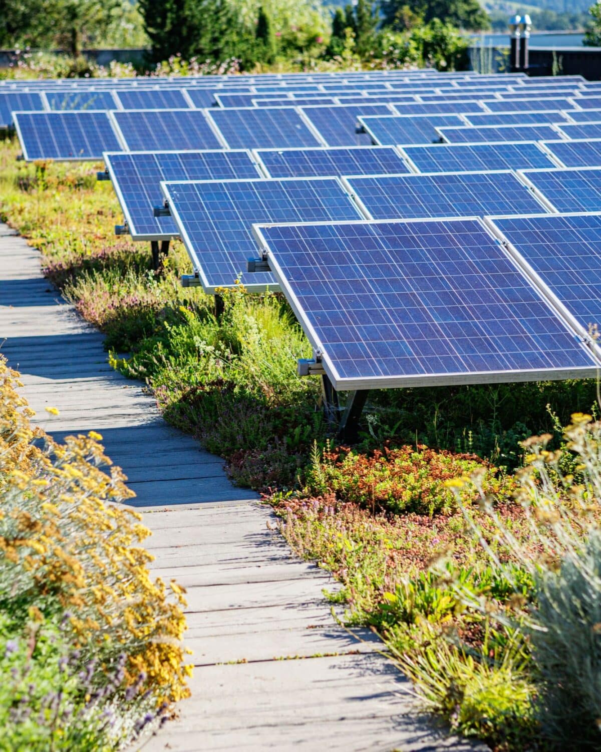 Investment Subsidy for Sustainable Energy and Energy Saving (ISDE)