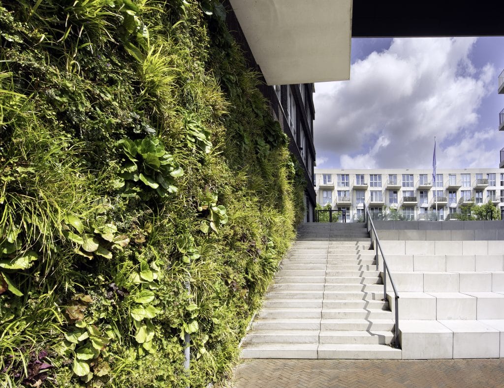 Green facade system for buildings | SemperGreenwall Outdoor