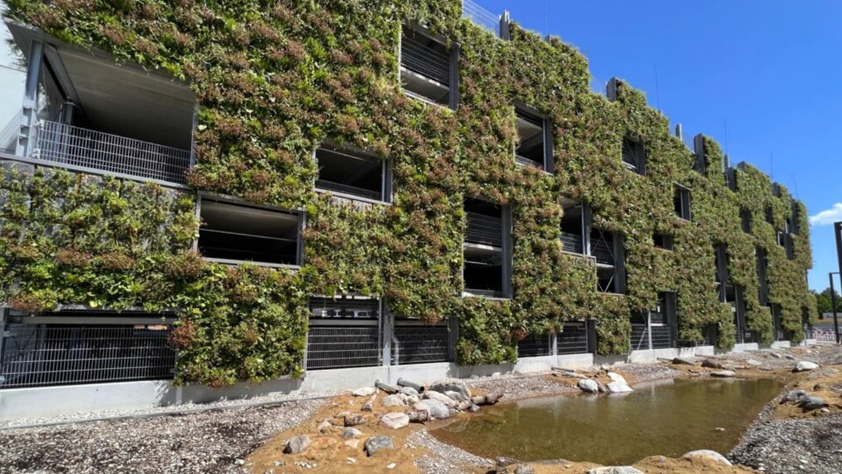 SempergreenWall TONIpark Germany