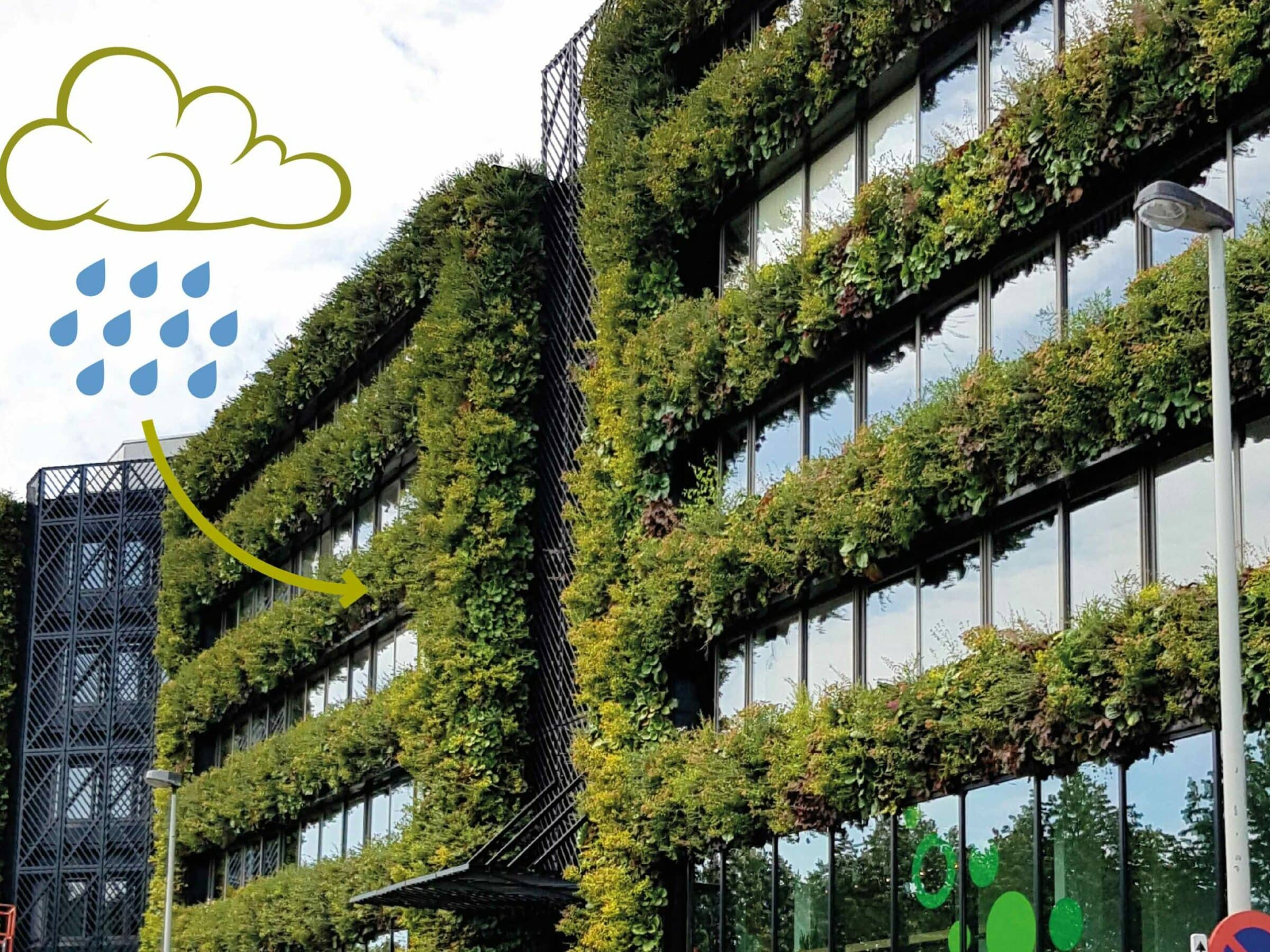 SemperGreenwall irrigation reusing rainwater