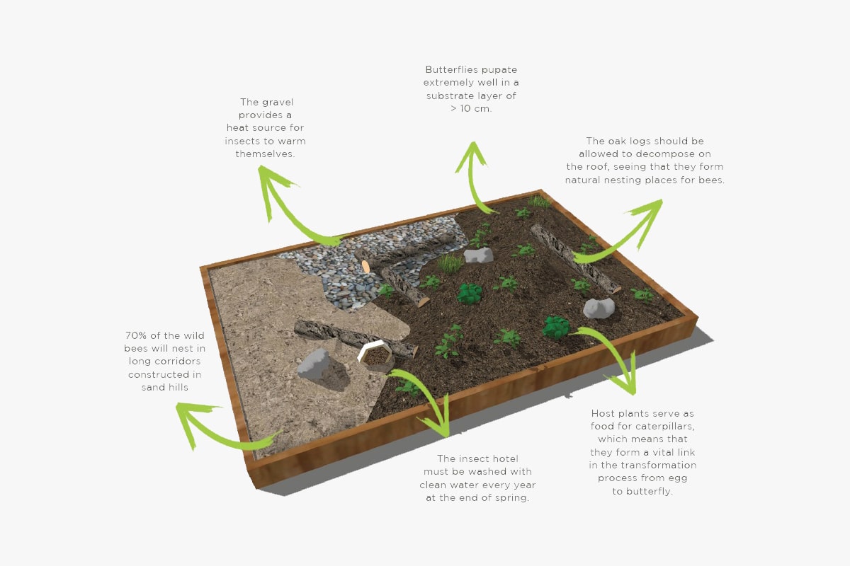 Sempergreen Biodiversity package graphical representation