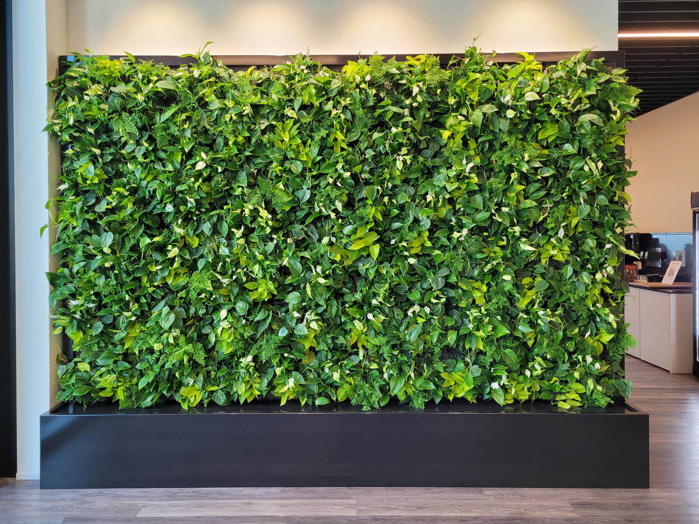 Green Roof & Living Wall Projects
