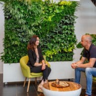 Sempergreen latest news