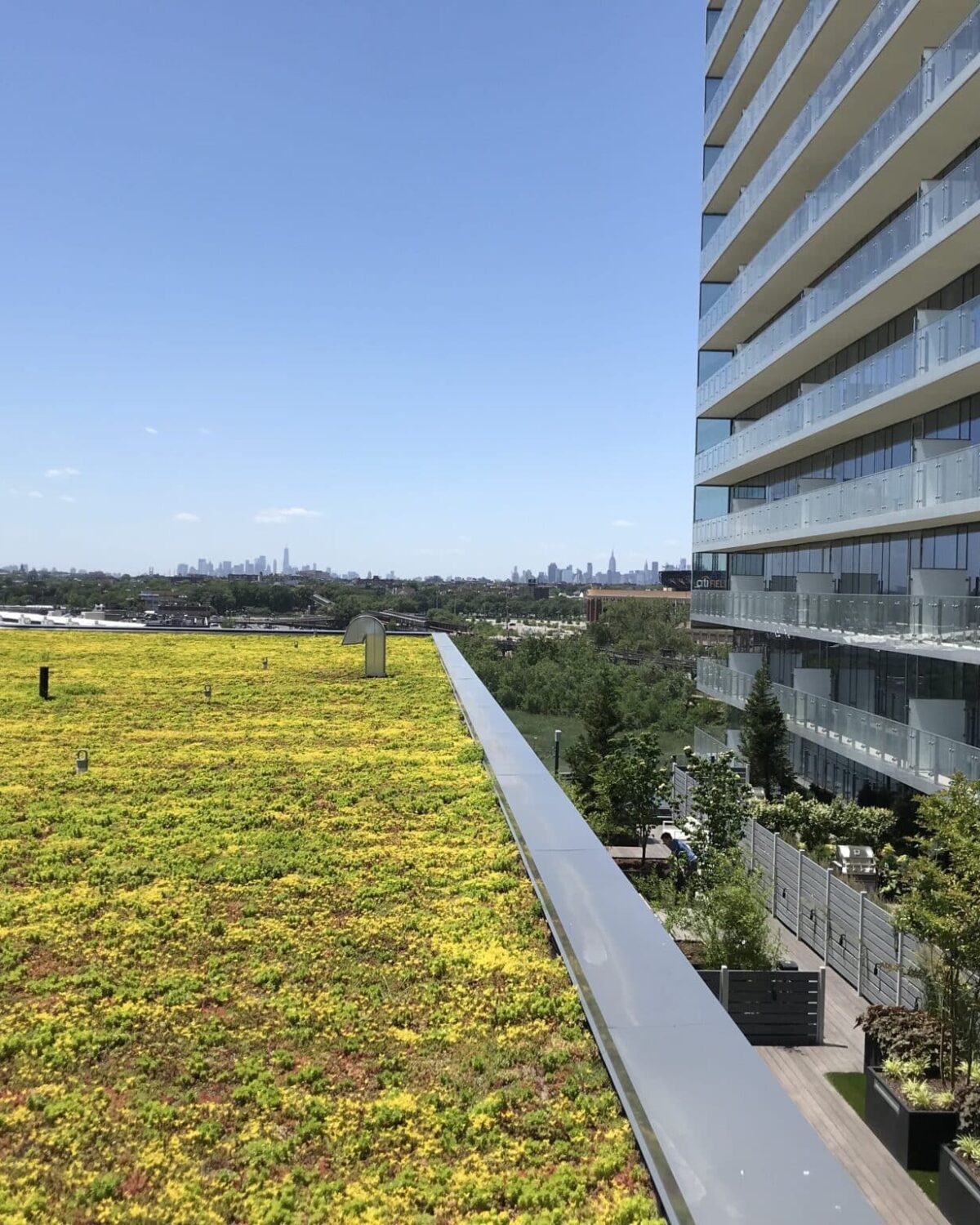 Sempergreen The four seasons of Sedum Summer