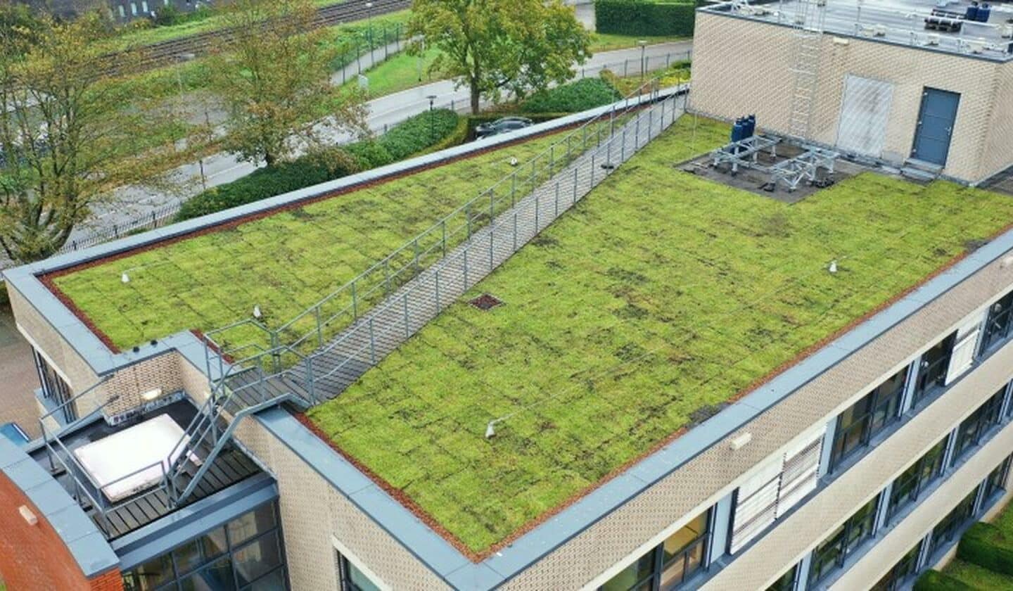 The First Detention Roof in the Netherlands